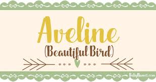 The Name Aveline Means Beautiful Bird And Is Of French Origin Aveline Is A Name That S Been Primarily Used Names With Meaning Cool Baby Names Baby Girl Names