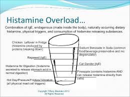 Working With Histamine Overload April 2013 Mast Cell Activation Syndrome Health Info Histamine Intolerance Symptoms