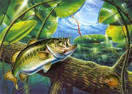 A collection of the top 36 bass fishing wallpapers and backgrounds available for download for free. Fish R Bass Fishing Wallpaper Fish Wallpaper Fish Painting Bass Fishing Pictures