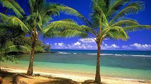 Beach Hd Wallpapers Beach Sunset Wallpaper Beach Background Images Beach Background