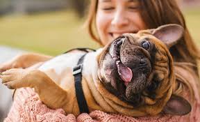 Petland Overland Park