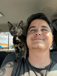 Just a few of my derpy babies. Hi I'm meiko, I work in pest control and the  kitten distribution center has gifted me with being these baby's dad.