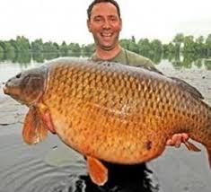 We did not find results for: Kolam Ikan Mas Serta Sarana Dan Peralatan Budidaya Yang Baik Budidayayuk