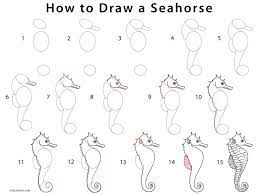 How to draw a seahorse step by step for beginners. How To Draw A Seahorse Step By Step Pictures Cool2bkids Seahorse Drawing Sea Drawing Sea Creatures Drawing