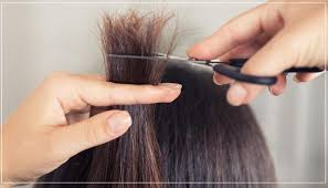 Lighten your hair first to achieve a more vibrant color. 8 Remedies To Get Rid Of Split Ends Htv