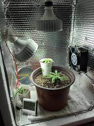 1 double gang handy box or like me use a couple of plastic boxes to make a double. Diy Grow Tent How To Build Your Own Grow Box 420 Big Bud