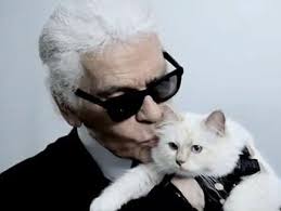 Jogginghosen sind das zeichen einer niederlage. Luxus Katze Heidi Klum Jogging Hose Das Sind Karl Lagerfelds Beste Zitate Mopo De