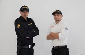 Los angeles, ca is a haven for many types of pests, with plenty of buildings for them to escape the heat and find food. Rhino Pest Control 11017 S Main St Los Angeles Ca 90061 Yp Com