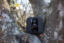 This highly acclaimed software is in use all around the world by thousands of users. Blink S Newest Security Camera Can Be Hidden In A Tree The Verge