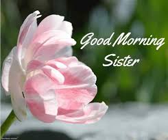 Sweet love text messages to make her smile. 120 Lovely Good Morning Wishes And Greetings For Sister Good Morning Wishes Good Morning Love Messages Good Morning Sister Images