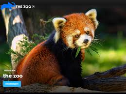 Dave worked at the bronx zoo, retiring as director of operations in 2001. Animal Planet Animal Planet S New Documentary Will Explore Effects Of Coronavirus On Animals The Economic Times