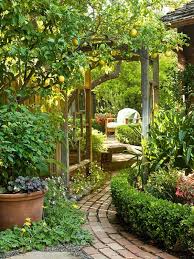 The Sound Of Birdsong The Green Of A Leaf Backyard Beautiful Gardens Outdoor Gardens