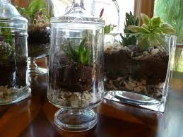 Once you've gathered up all of your materials it should only take you a few minutes to plant and arrange your terrarium. Diy How To Make Your Own Green Terrarium To Keep Or Give Away For The Holidays