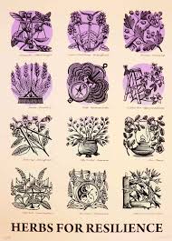 Justseeds Herbs For Resilience 2nd Edition Woodcut Illustration Book Projects Resilience
