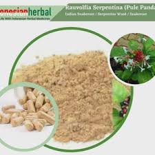 Image result for Rauvolfia nana