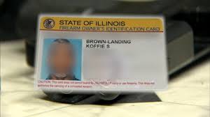 Check spelling or type a new query. Illinois Foid Card Problems Calumet City Woman Says She Received Card With Wrong Picture After Year Wait Abc7 Chicago
