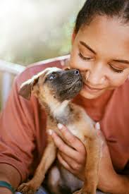 ANNUAL IMPACT REPORT