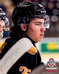 Tigres de Victoriaville