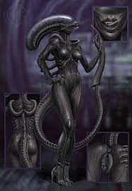 Xenomorph :: AVP / funny cocks & best free porn: r34, futanari, shemale,  hentai, femdom and fandom porn