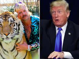 The netflix series tiger king took viewers on a. Joe Exotic Latest News Breaking Stories And Comment The Independent