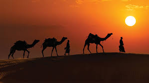 padang pasir - gontornews.com