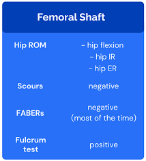 Image result for Fulcrum Test