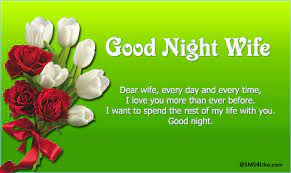 I can't forget you sympathetic attitude and smile attractive face. Good Night Messages For Wife Sms4like