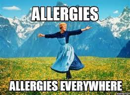 19 Struggles Anyone With Allergies Knows Too Well Black Friday Memes Black Friday Funny Friday Funny Pictures
