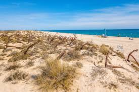 Check spelling or type a new query. A Visitor S Guide To Tavira