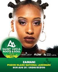 With the Roots & Soul Festival approaching, head over to our website:⁠ 👉  To find luxury, all-inclusive or boutique accommodations and more for your  musical getaway⁠ ⁠ ⏩ SWIPE to see some