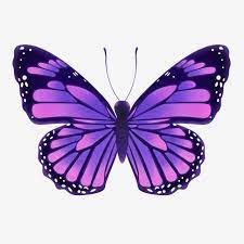 Purple Butterfly Png Material Butterfly Clipart Purple Butterfly Butterfly Png Transparent Clipart Image And Psd File For Free Download Cartoon Butterfly Purple Butterfly Butterfly Clip Art