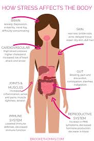 Mental Wellness How Stress Affects The Body In 2020 Mental Wellness Financial Wellness Emotional Wellness