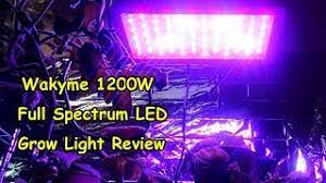 The daisy chain functionality allows you to connect. Wakyme Full Spectrum Led Grow Light Review Youtube