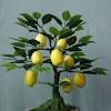 Add living art to your yard with outdoor bonsai trees. 1