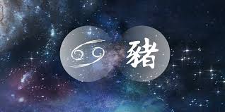 Keep a libra happy by having good taste. Cancer Pig The Exuberant Entertainer Of The Chinese Western Zodiac