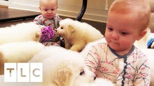 Pregnancy aside, fans have speculated about courtney's additional weight loss since the last time viewers saw the waldrops on season 2 of sweet home sextuplets. Babies And Puppies Cause Chaos In The Waldrop House Sweet Home Sextuplets Youtube