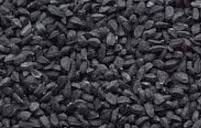 Kalonja Nigella Seed Meaning In English Hindi Telugu Tamil Marathi Gujrathi Malayalam Kannada Pocket News Alert