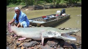 Illinois Dnr Looking To Enlist River Monster To Battle Asian Carp In Mississippi And Other Rivers Wqad Com Alex parkinson, барни ревилл, доминик уэстон. illinois dnr looking to enlist river