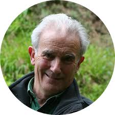 Golden Eagles by Roy Dennis