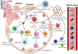 The vaccine met both primary efficacy end points, with more than a 99. The Long Road Toward Covid 19 Herd Immunity Vaccine Platform Technologies And Mass Immunization Strategies Abstract Europe Pmc