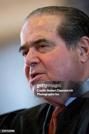 162 Robert Hecht Stock Photos, High-Res Pictures, and Images