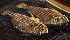 Dorade Vom Grill Tsipoura Sti Skara Rezept Dorade Fisch Grillen Rezepte Dorade Grillen