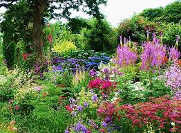 Cornwall Gardens To Visit Near Truro St Ives Penzance Newquay Garden Ideas Uk Cottage Garden Plan Small Cottage Garden Ideas