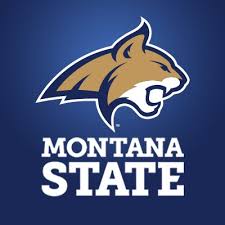 montana state bobcats msubobcats twitter