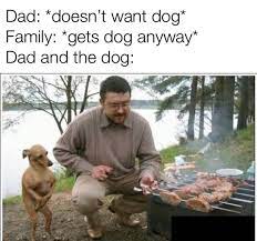 Dad And The Dog Know Your Meme