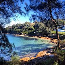 Salmon Haul Cronulla Dream Vacations Wonders Of The World Places To Go