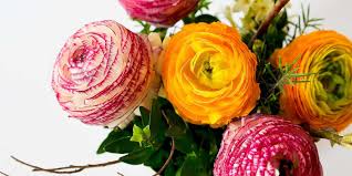 Whether you are picking out a flower bouquet for a weddin. Flower Color Meanings Symbolism Proflowers Blog