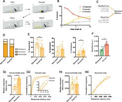 We did not find results for: Activation Of Subthalamic Nucleus Stop Circuit Disrupts Cognitive Performance Eneuro