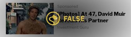 Dries have referred to muir as her boyfriend in the article titled report indicates my boyfriend david muir is a 'monster'. rumors of him being gay. Did David Muir Reveal His Partner And Pose Shirtless Snopes Com