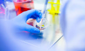 Cinnamon extract was found to be the most effective spice against all. Cell Culture An Innovative Approach For Production Of Plant Actives